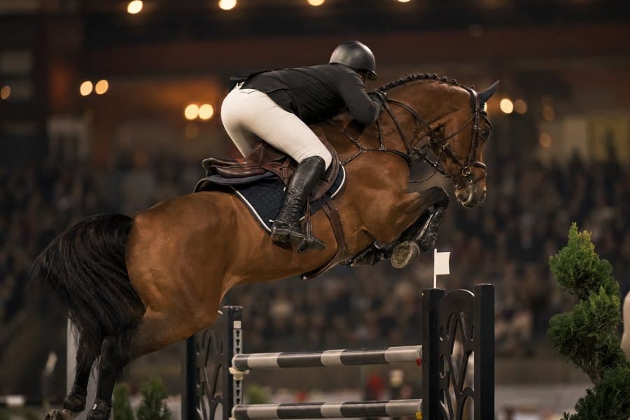 Equestrian magazine